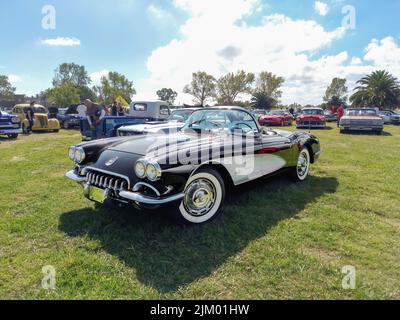 Chascomus, Argentinien - 9. Apr 2022: Alte, schwarz-weiße Sportart Chevrolet Corvette C1 Zweitürer-Cabriolet 1958 von GM auf dem Land. Naturrasen A Stockfoto