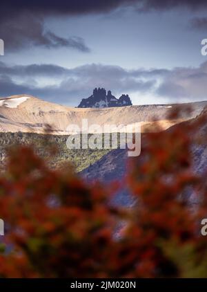 Eine wunderschöne vertikale, flache Aufnahme einer Bergkette bei Sonnenuntergang hinter verschwommenen roten Blumen Stockfoto