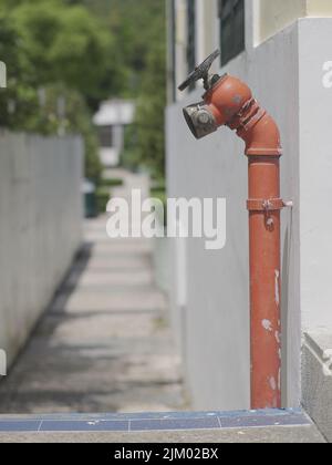 Eine vertikale Aufnahme einer roten Hydrantenwasserleitung in der Nähe der Straße Stockfoto