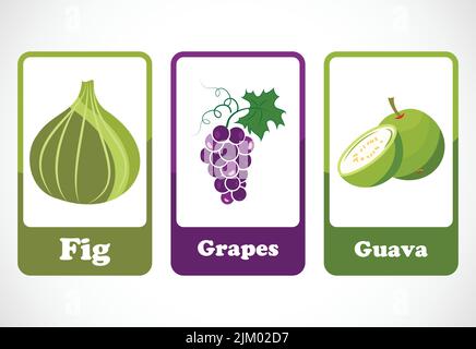 Obst-Karteikarten für Kinder. Pädagogische Karten für die Vorschule. Druckbare Vektorgrafik Stock Vektor