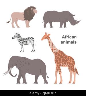 Afrikanische Tiere eingestellt. Großer Elefant, Giraffe, Nashorn, Löwe und Zebra. Pflanzenfressend und fleischfressend. Wildtiere Säugetiere. Tierzoologie. Flacher Vektor colle Stock Vektor