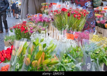 Stände mit Blumen, Obst und Gemüse auf dem Bonner Marktplatz Germa Stockfoto