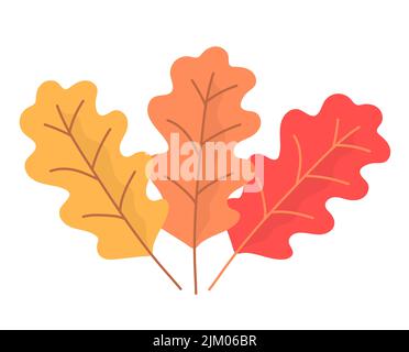Dreifarbiger Eichenlaub. Eiche. Gelb, orange und rot. Natur und Pflanzen. Herbstsaison. Flache Vektorgrafik isoliert auf weißem Hintergrund Stock Vektor