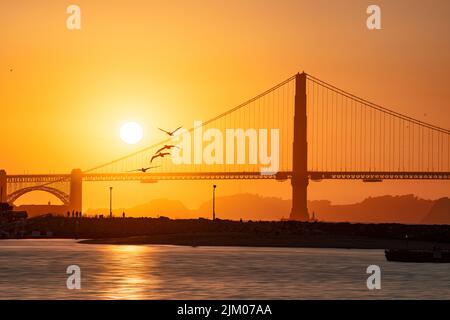 Eine Silhouette von Möwen, die über der Sonne fliegen und hinter der Golden Gate Bridge über dem Meer untergehen Stockfoto