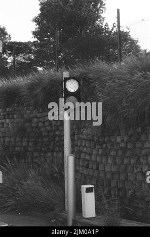 Eine Graustufenaufnahme einer Ampel in einer Straße Stockfoto