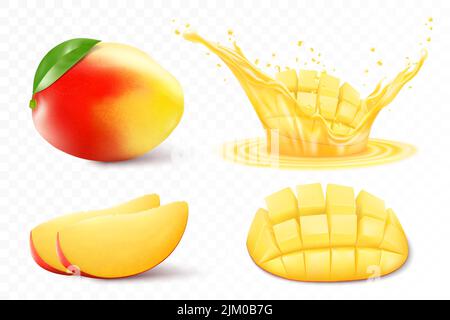Set aus frischen ganzen, halb, schneiden Sie Mango-Früchte und Mango in einem Spritzer Saft, isoliert auf weißem Hintergrund. Sommerfrüchte für einen gesunden Lebensstil. Stock Vektor