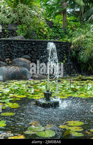 Ein kleiner dekorativer Brunnen im Teich, der mit Seerosen bedeckt ist, auf der Insel Tahiti, Französisch-Polynesien Stockfoto