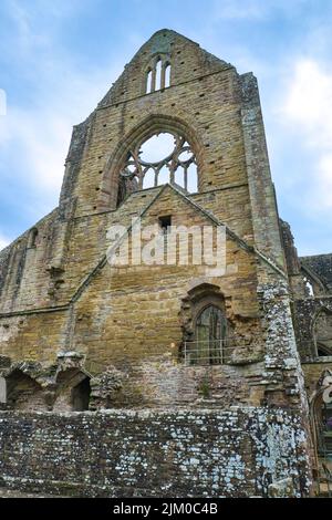 Ein Blick auf die leeren Fensterrahmen aus Buntglas an einem trüben, launischen Nachmittag. Bei Tintern Abby in der Nähe von Chepstow, Wales, Großbritannien. Stockfoto