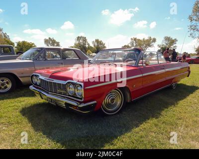 Chascomus, Argentinien - 09. Apr 2022: Der alte beliebte rote Chevrolet Chevy Impala SS Super Sport V8 zweitürige Cabriolet 1964 von GM auf dem Land. Natu Stockfoto