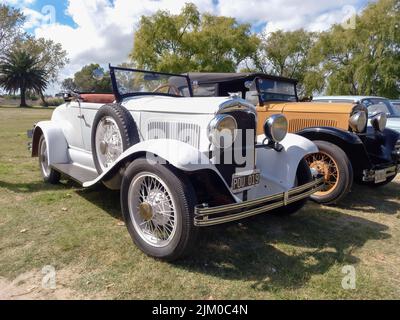 Chascomus, Argentinien - 9. Apr 2022: Der alte weiße Chrysler Plymouth Roadster um 1930 parkte auf dem Land. Natur Gras und Bäume Hintergrund. Clas Stockfoto