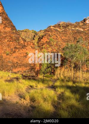 Wanderweg zwischen den zerklüfteten Sandstein-Karstaufschlüssen des Mirima National Park, East Kimberley Stockfoto