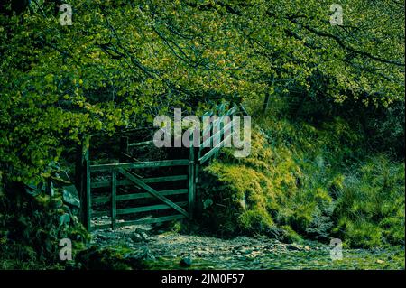 Early Autumn Exmoor Landscape, bitte schließen Sie das Tor. Exmoor National Park Stockfoto