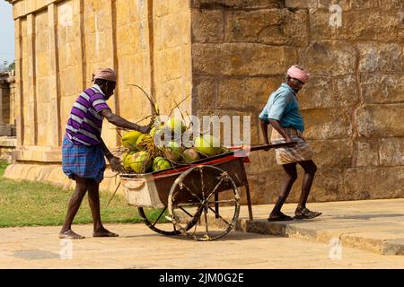 Menschen, die Kokosnüsse auf dem Wagen vor dem Tempel, Gangaikoda Cholapuram, Ariyalur, Tamilnadu, Indien, verkaufen. Stockfoto