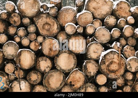 Eine Nahaufnahme eines Bündels von Baumstämmen, die übereinander liegen und mit Schnee bedeckt sind Stockfoto