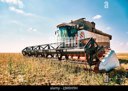 Der fahrerlose Reaper führt Weizenkorn-Ernte durch, moderne Kombinationstechnologie, globale Erwärmung und Überbevölkerung, die durch künstliche Intelligenz gelöst werden Stockfoto