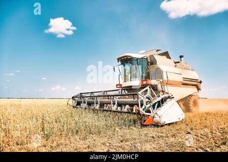 Der fahrerlose Reaper führt Weizenkorn-Ernte durch, moderne Kombinationstechnologie, globale Erwärmung und Überbevölkerung, die durch künstliche Intelligenz gelöst werden Stockfoto