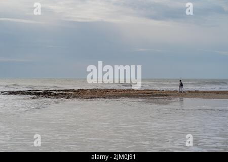 Eine junge Hündin mit ihrem maltesischen bichon, die eine tolle Zeit am Strand von Oropesa del mar in Castellon Spanien hat Stockfoto