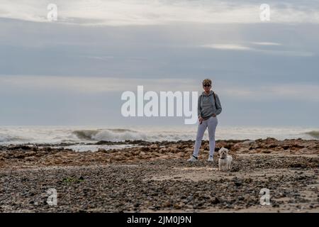 Eine junge Hündin mit ihrem maltesischen bichon, die eine tolle Zeit am Strand von Oropesa del mar in Castellon Spanien hat Stockfoto