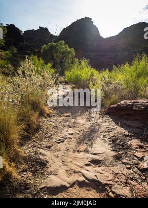 Wanderung durch die Sandstein- und kongolmerierten sedimentären Karstfelsen des Mirima National Park, East Kimberley Stockfoto