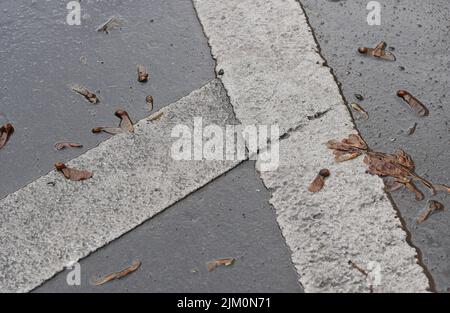 Weiße Verkehrslinien im Asphaltübergang Stockfoto