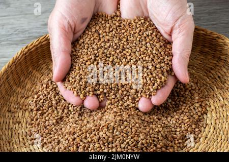 Geschälte Buchweizenkörner. Fagopyrum esculentum, getrocknete Samen. Stockfoto