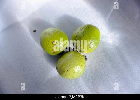 Ein Blick von oben auf drei Guavas isoliert auf einer weißen Tischdecke Stockfoto
