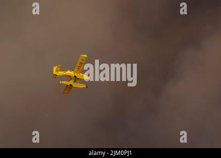 Waldbrand von El Pont de Vilomara am 17. Juli 2022, der 1.743 Hektar Vegetation verbrannte (Bages, Barcelona, Katalonien, Spanien) Stockfoto