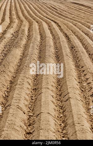 Das gepflügte Feld in Geilenkirchen, Deutschland - Farmlandschaft Stockfoto