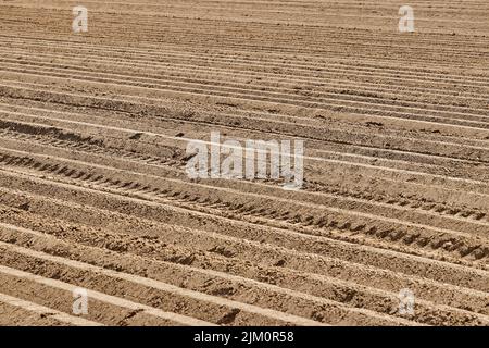 Das gepflügte Feld in Geilenkirchen, Deutschland - Farmlandschaft Stockfoto