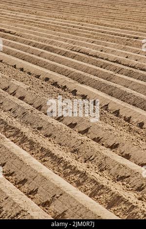 Das gepflügte Feld in Geilenkirchen, Deutschland - Farmlandschaft Stockfoto