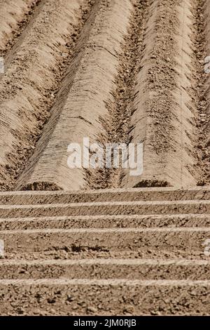 Das gepflügte Feld in Geilenkirchen, Deutschland - Farmlandschaft Stockfoto