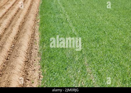 Das gepflügte Feld in Geilenkirchen, Deutschland - Farmlandschaft Stockfoto