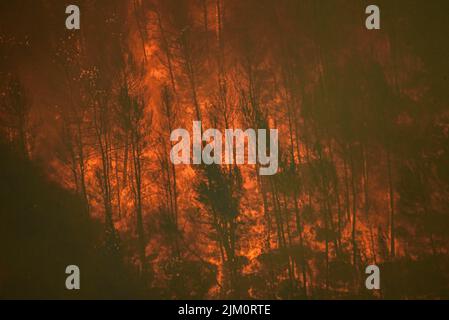 Waldbrand von El Pont de Vilomara am 17. Juli 2022, der 1.743 Hektar Vegetation verbrannte (Bages, Barcelona, Katalonien, Spanien) Stockfoto