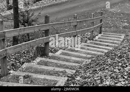 Eine Graustufenaufnahme von Treppen in einem Park mit herbstlichen Blättern Stockfoto