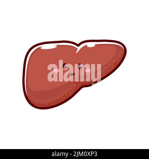 Gesunde Leber Cartoon-Figur mit lustigen Gesicht. Vektor glückliche Leber, menschliches Körperorgan, lächelndes Kawaii Emoticon, Kinder Leber menschliches Organ Stock Vektor