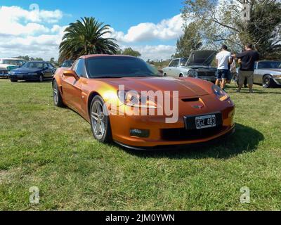 Chascomus, Argentinien - 9. Apr 2022: Alte goldene Metallic-Sport Chevrolet Corvette Z06 Coupé 2006 von GM auf dem Land. Natur Gras und Bäume hinten Stockfoto