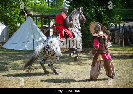 Ratzeburg, 31. Juli 2022: Ritter auf einem aufsteigenden Pferd und ein Krieger mit Schild zu Fuß, der eine Kampfdemonstration bei einem mittelalterlichen Fest zeigt Stockfoto
