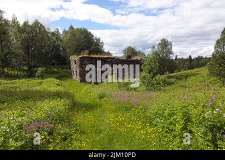 Alte verlassene Gebäude, Schiefersteine in ländlicher Umgebung. Wiesen, Pflanzen und Blumen auf dieser Seite, Landschaft im Juni, Juli. Stockfoto