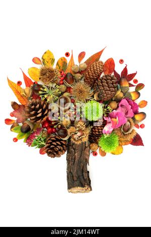 Abstraktes Baumdesign für Herbst und Erntedank mit Blättern, Blumen, Beerenfrüchten, Nüssen. Surreale Natur Herbst Zusammensetzung mit natürlicher Flora. Auf Weiß Stockfoto