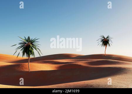 Sonnenuntergang in einer sandigen Wüste, ein Panorama der Wüste mit Palmen, 3D Abbildung Stockfoto