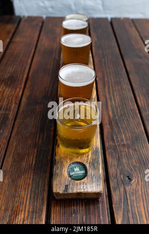 Bierflucht oder Probierschale mit Apfelwein, Lagerbier, Pale Ale, IPA und Stout, gebraut von Canterbury Brewers - The Foundry Brew Pub, Canterbury, Kent, England Stockfoto