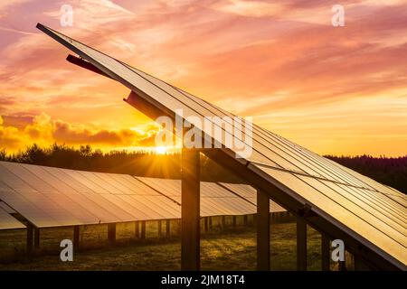 Die Sonne geht hinter einer Reihe von Solarmodulen auf einem kleinen Solarpark in Devon, England, auf. Stockfoto