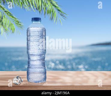 Plastikflasche mit gekühltem Wasser mit Kondenswassertropfen unter dem Palmblatt. Glitzerndes Meer im Hintergrund. Stockfoto