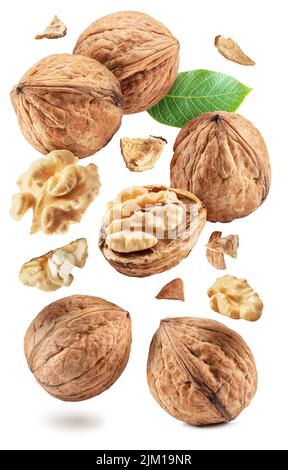 Set aus ganzen Walnüssen, Walnusskern und rissiger Walnuss, die in der Luft auf weißem Hintergrund fliegen. Beschneidungspfade. Stockfoto