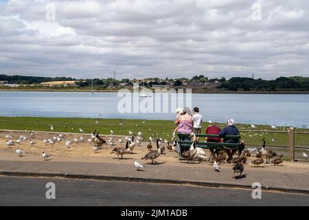 FAMILIEN UND KINDER SITZEN UNTER DEN GÄNSESCHWEINEN UND ENTEN AN DEN MISTLEY-WÄNDEN Stockfoto