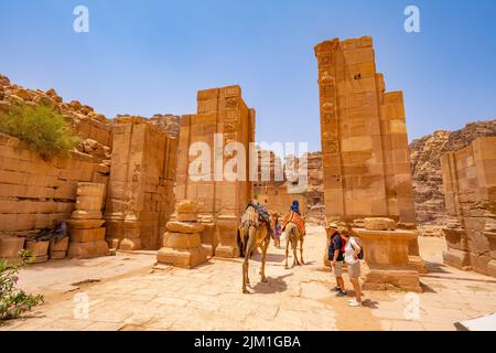 Kamele, die durch das Temenos-Tor auf der Colonnaded Street Petra Jordan fahren. Stockfoto