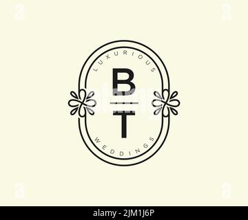 BT Initials Letter Hochzeitsmonogramm Logos Vorlage, handgezeichnete moderne minimalistische und florale Vorlagen für Einladungskarten, Save the Date, elegant Stock Vektor