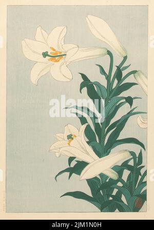 Lilien. Museum: PRIVATE SAMMLUNG. Autor: OHARA KOSON. Stockfoto