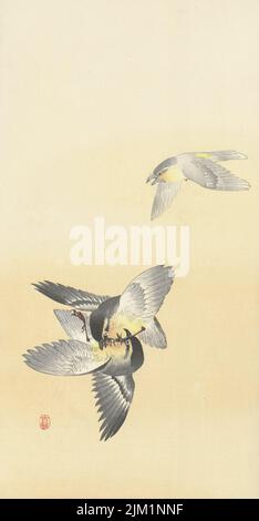 Zwei kämpfende Vögel. Museum: PRIVATE SAMMLUNG. Autor: OHARA KOSON. Stockfoto