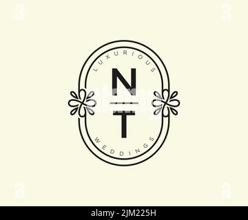 NT Initialen Brief Hochzeit Monogramm Logos Vorlage, handgezeichnete moderne minimalistische und florale Vorlagen für Einladungskarten, Save the Date, elegant Stock Vektor